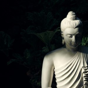 white Buddha statue on body of water